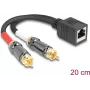 DeLOCK audio kabelis 0.2 m RJ-45 2 x RCA melns