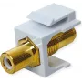 VALUE ROLINE Keystone-Coupling RCA Shielded Plastmasa Balts (25.99.8211)