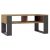 top e shop Modern kafijas galdiņš 90×58×50 cm, antracīta krāsas rāmis, matētas Artisan ozola plaukti