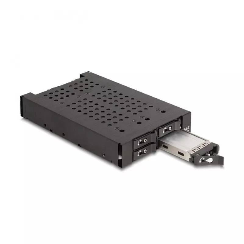 HDD Cage DeLOCK 47072 Rack Saderīga Metal 100mm platums