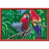 Ravensburger Malen nach Zahlen - Krāsaini papagaiļi