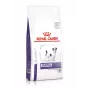 Sausā suņu barība Royal Canin Adult Small Dog 2 kg — mājputnu gaļa, 25% olbaltumvielu, 16% tauku, zobu kopšana