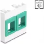 Pie sienas stiprināms 45x45 mm moduļa rāmis DELOCK Easy 2x Keystone turētājiem, balts/zaļš