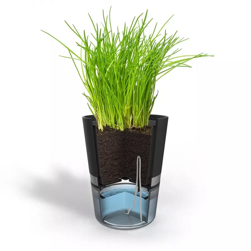 GEFU BOTANICO garšaugu pods, brīvi stāvošs, plastmasa, nerūsējošais tērauds, melns