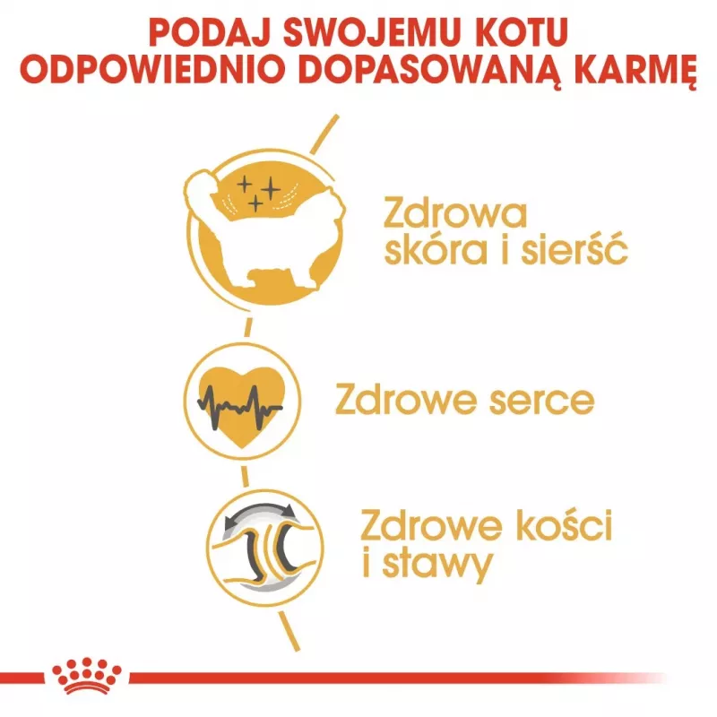 Sausā kaķu barība Royal Canin Ragdoll Adult 2 kg — vistas, 32% olbaltumvielu, 18% tauku