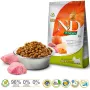 Sausā suņu barība Farmina N&D Pumpkin Adult Mini Boar & Apple — 7 kg, bezgraudu, 30% olbaltumvielu, 18% tauku, mazām pieaugušām suņu šķirnēm