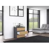 Topeshop M3 ANTRACYT/ARTISAN kumode