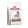 ROYAL CANIN Gastrointestinal — sauso suņu barība — 2kg