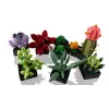 Lego Icons 10309 Sukulenti