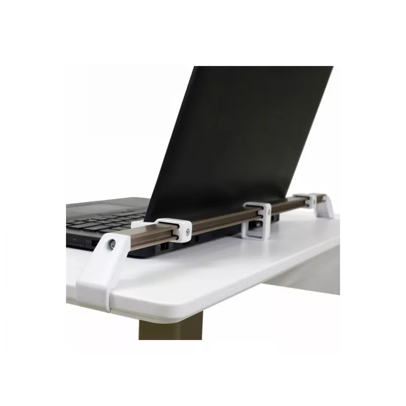 Klēpjdatora statīvs Ergotron C50-1100-0 Pelēks 39.6 cm