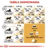 Royal Canin FBN Maine Coon Adult sausā kaķu barība, 4 kg