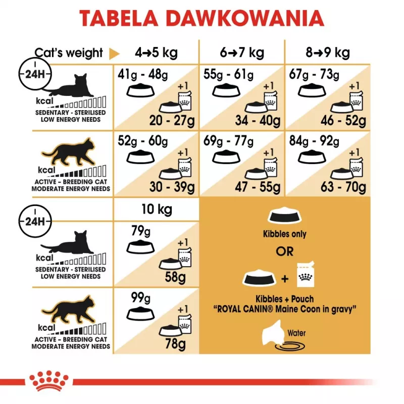 Royal Canin FBN Maine Coon Adult sausā kaķu barība, 4 kg