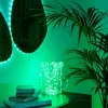 LED vītne Twinkly TWD200STP-TEU daudzkrāsains iekštelpu sloksne, 5 cm atstatums, IP20, caurspīdīgs kabelis