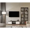 RTV 120 MALWA ANTHRACITE/Balts