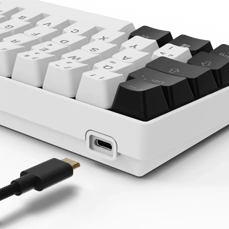 Sharkoon SGK50 S4 tastatūra Mājas USB QWERTZ Vācu Balta RGB LED 60%