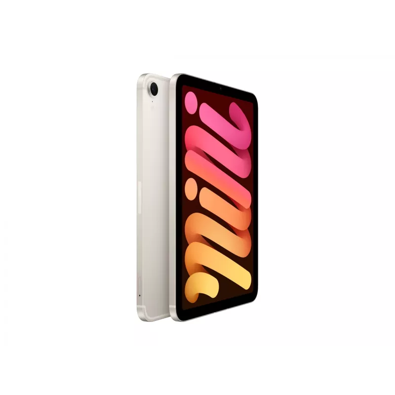 iPad mini Wi-Fi + Cellular 256GB Starlight