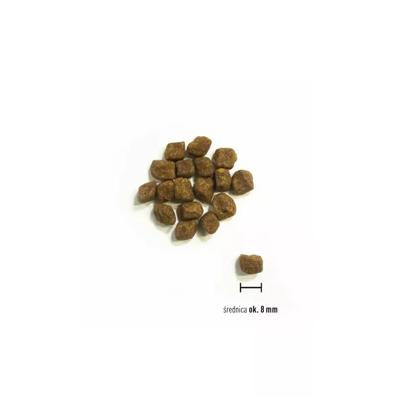 ORIJEN Small Breed Puppy - sausā suņu barība - 1,8 kg