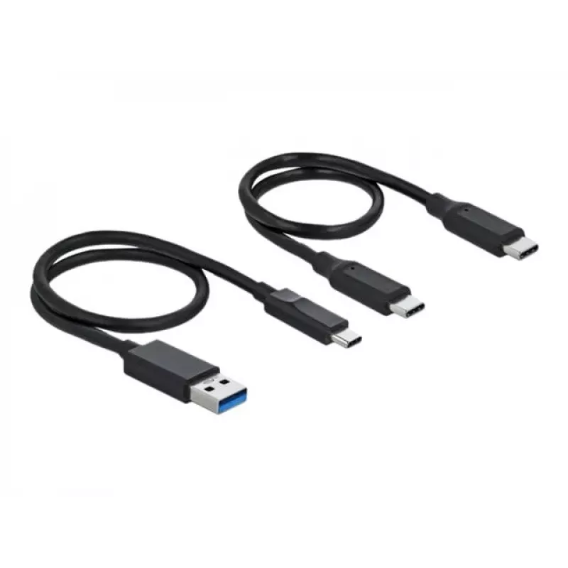 Delock M.2 Docking Station - Schnittstellenadapter - M.2 NVMe Card - USB 3.2 (Gen 2) - Silber