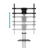 TV/monitora ratiņi, 37-86 inch 50kg max.