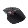 Bezvadu pele Tellur TLL491261 USB