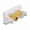 DeLOCK Easy 45 ligzda 2 x RCA balta ABS