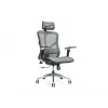 Ergonomisks biroja krēsls ERGO 500 pelēks