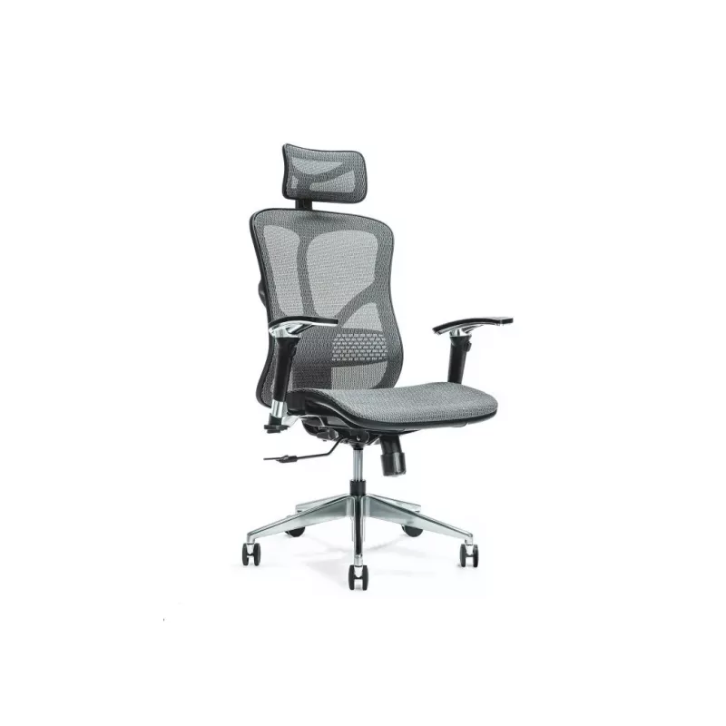 Ergonomisks biroja krēsls ERGO 500 pelēks