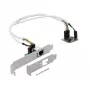 DeLOCK Mini PCIe I/O PCIe pusizmēra 1 x Gigabit LAN zema profila – tīkla adapteris – PCIe pusizmēra mini karte – Gigabit Ethernet x 1 (95265)