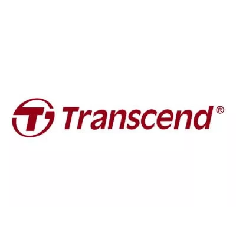 USB zibatmiņa Transcend 128 GB USB Type-C JetFlash 790C