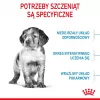Sausā suņu barība Royal Canin Medium Puppy 15 kg — vidēja izmēra šķirņu kucēniem, vistas garša, 32% proteīna, 20% tauku