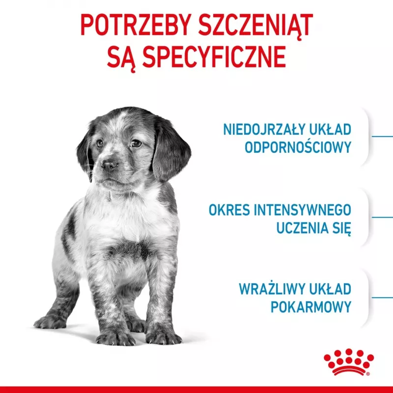 Sausā suņu barība Royal Canin Medium Puppy 15 kg — vidēja izmēra šķirņu kucēniem, vistas garša, 32% proteīna, 20% tauku