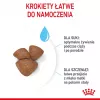 Sausā suņu barība Royal Canin Starter Mother & Babydog 1 kg — vistas garša, 30% olbaltumvielu, 22% tauku