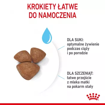 Sausā suņu barība Royal Canin Starter Mother & Babydog 1 kg — vistas garša, 30% olbaltumvielu, 22% tauku