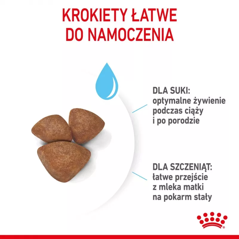 Sausā suņu barība Royal Canin Starter Mother & Babydog 1 kg — vistas garša, 30% olbaltumvielu, 22% tauku
