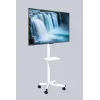 Gembird grīdas TV statīvs ar ritentiņiem 32 collu–55 collu, balta, VESA 100x100–400x400, 30 kg