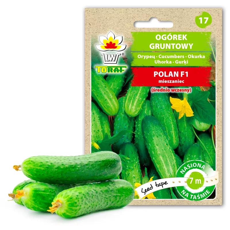 Polan F1 gurķu PNOS sēklas uz lentes, 6m lente