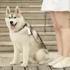 PETKIT suņu ekskrementu maisiņi