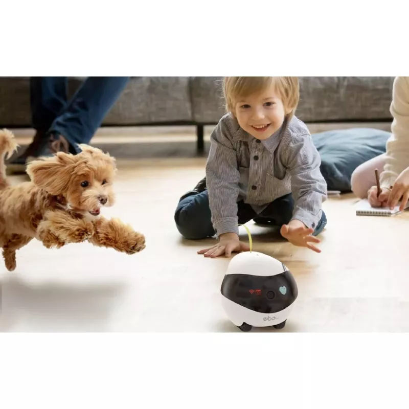 ENABOT Ebo Air AI Robots Balts un Melns