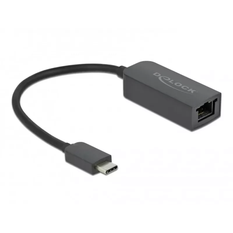 Adapter USB Type-C male to 2.5 Gigabit LAN kompakts DeLOCK 66645