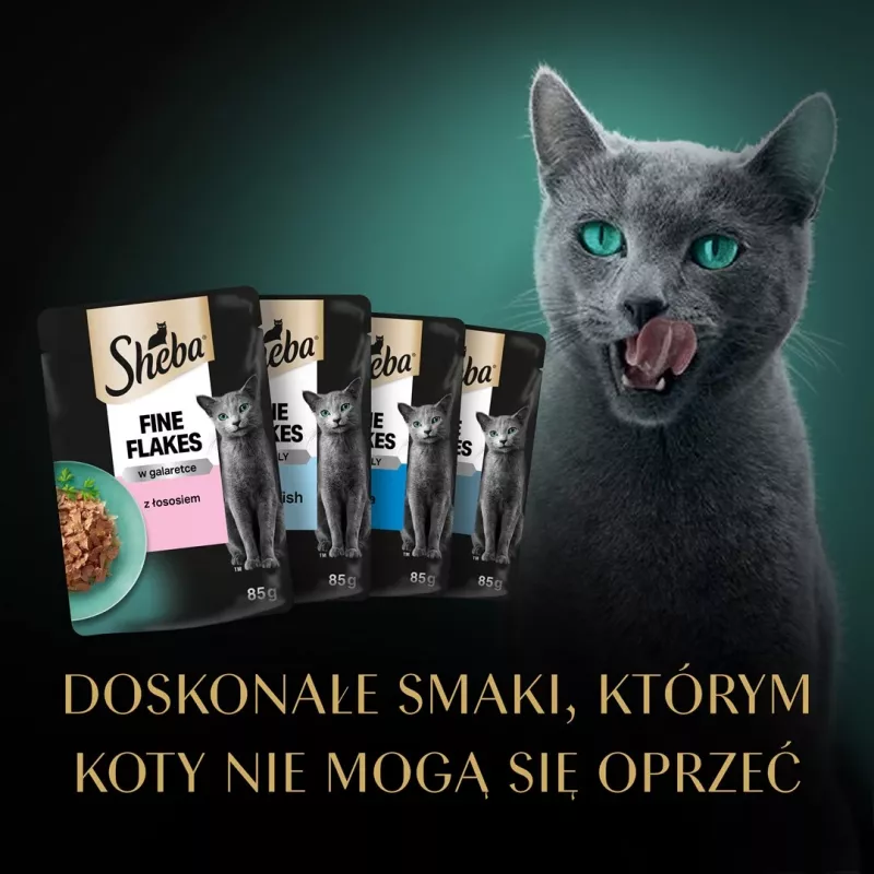 Sheba Delicacy zivju garšas želejā mitrā barība kaķiem, 80 x 85 g