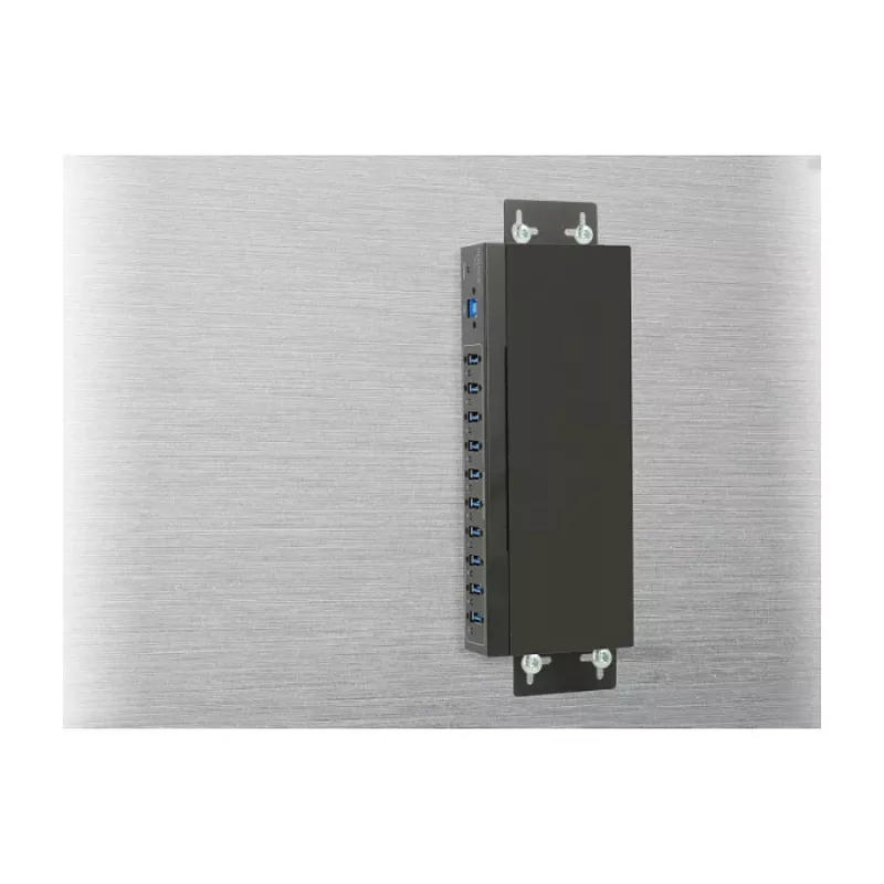 USB centrmezgls DeLOCK 63919