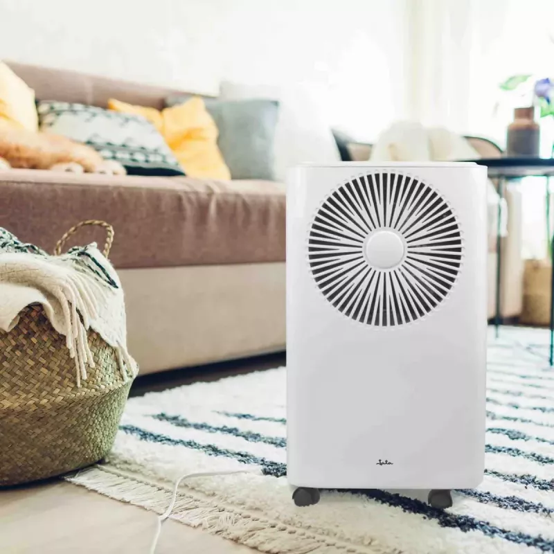 Mitruma atsūcējs Jata JEHU2413 2 L 210 W 42 dB 230 V Balts 270×205×408 mm