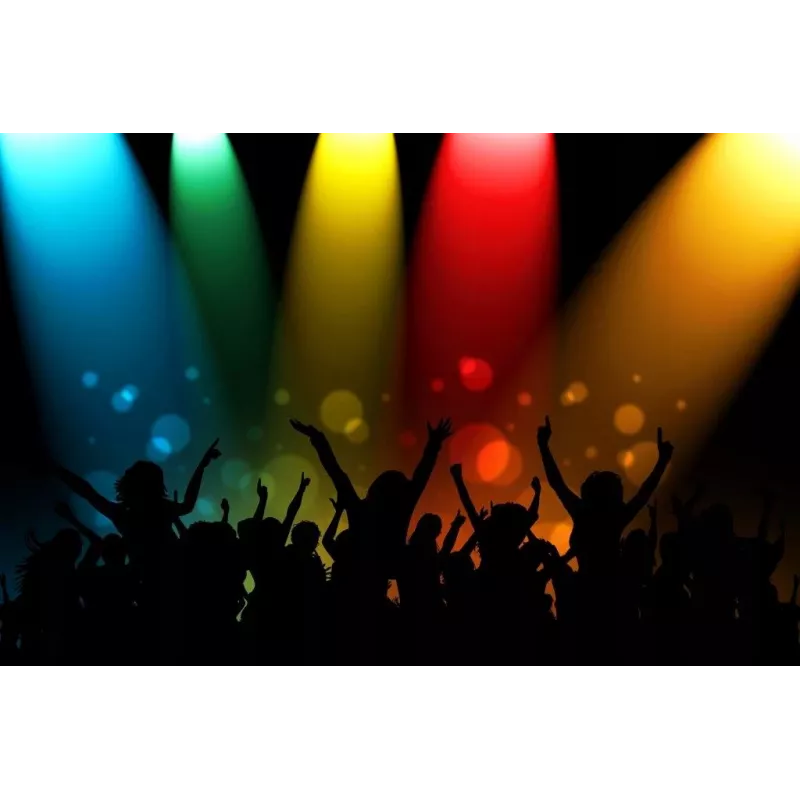 Pārnēsājams skaļrunis APA24 Bluetooth karaoke, melns