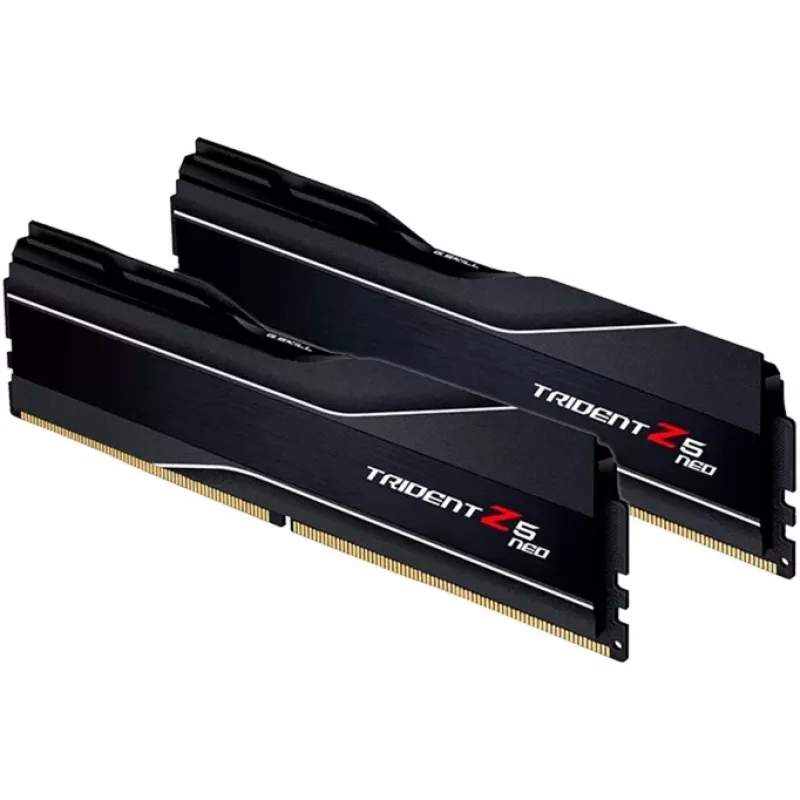 RAM modulis G.SKILL DDR5 64GB (2x32GB) 6000MHz CL30 288-pin DIMM 1.4V EXPO/XMP 3.0 ar heatsink