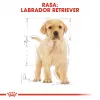 ROYAL CANIN SHN Breed Labrador Junior sausā suņu barība - 12 kg