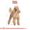 Sausā suņu barība Royal Canin Poodle Adult 1,5 kg — vista, 30% olbaltumvielas, 19% tauki
