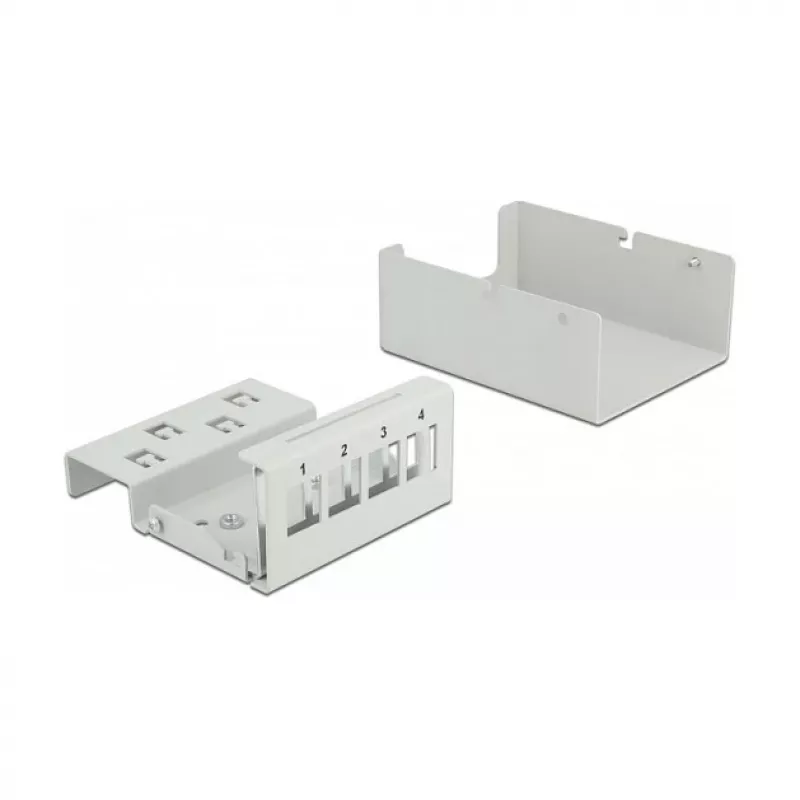 Keystone Patch Panel DeLOCK 43407 4 Portu Pelēks