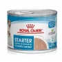 ROYAL CANIN Starter Mousse Mother & Babydog - kārba 195g