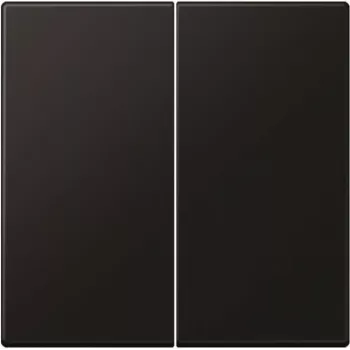 Jung svira sērijas slēdzim LS995SWM (LS995SWM)