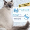 INABA Churu Skin&Coat vistas recepte - kaķu našķi - 4x14 g